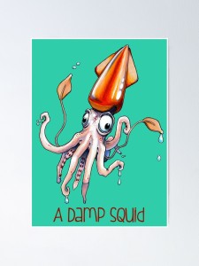 damp squid